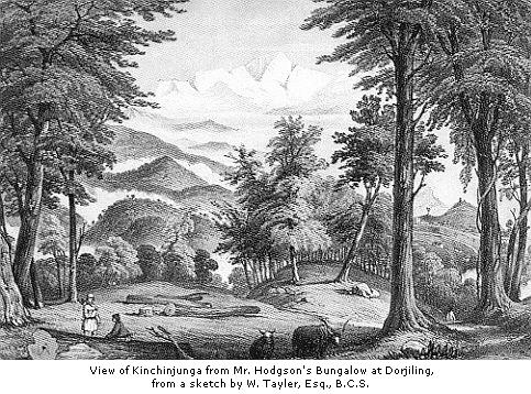 View of Kinchinjunga from Mr. Hodgson’s Bungalow at Dorjiling.